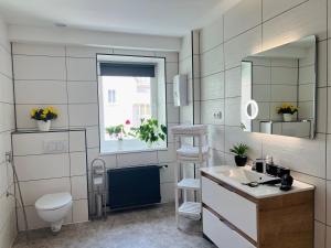 a bathroom with a sink and a toilet and a mirror at Altstadt Loft - Im Herzen der Altstadt - TREVIET in Pirna +17 photos