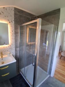 a bathroom with a shower and a sink at Meadow Suite in Lahinch +13 photos
