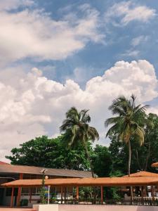 two palm trees in front of a building at Bintumani in Freetown
