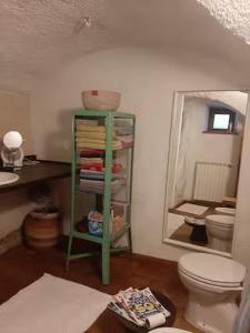 a bathroom with a green shelf and a toilet at Casa Alex in Roure Turin +19 photos