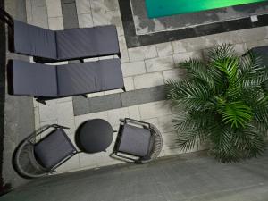 an overhead view of two benches and a palm tree at Azure Pool Residence in Sarajevo