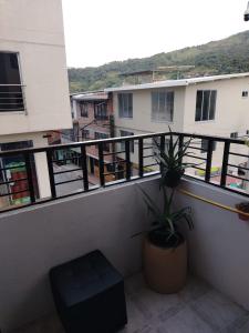 a balcony with a potted plant on a building at DESTINY Apto Parque in San Rafael