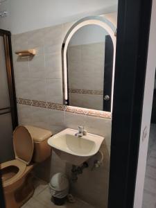 a bathroom with a toilet and a sink and a mirror at DESTINY Apto Parque in San Rafael +28 photos