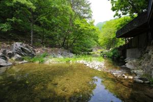 a stream of water next to a building and trees at gapyeong semmul pension in Gapyeong