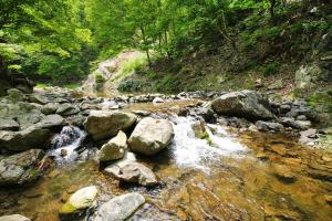 a stream of water with rocks in a forest at gapyeong semmul pension in Gapyeong
