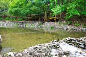 a bridge over a river next to a forest at gapyeong semmul pension in Gapyeong +8 photos
