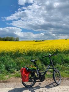 a bike parked in front of a field of flowers at Ferienhaus mit Naturblick in Putbus