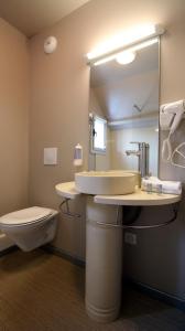 uma casa de banho com um lavatório, um WC e um espelho. em Aux Balcons du Sancy em Picherande