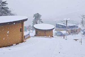 a town covered in snow with buildings and trees at Seocheon Water Willow Pension in Seocheon