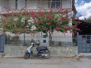 a scooter parked in front of a building with pink flowers at Póe home Trikala in Tríkala