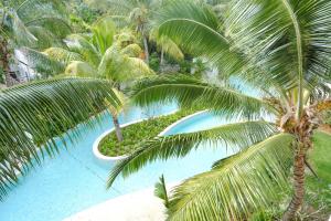 an overhead view of a swimming pool with palm trees at Villa Eden - 2 bedrooms with Private Rooftop Terrace & Pool, Ki Residences, Pereybère - KSN Collection Privée in Grand-Baie