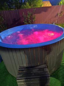 a large tub filled with pink water in a yard at Pensiunea Casa Nina in Cârțișoara +29 photos