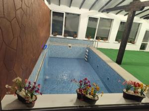 a swimming pool with three potted plants on a table at Pensiunea Casa Nina in Cârțișoara