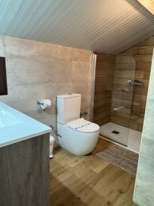 a bathroom with a toilet and a shower at Finca El Carrascal Arroyo frío, Sierra de Cazorla in Arroyo Frio +38 photos