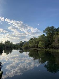 a river with trees and clouds in the water at Casa di Kiara, Skadar Lake in Dodoši