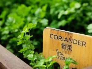 a sign for a garden in front of some plants at JW Marriott Hotel Beijing in Beijing
