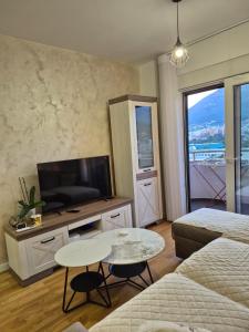 a room with a bed and a tv and a table at Family Home Apartment in Bar