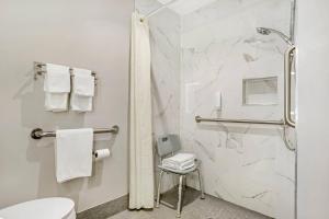 a bathroom with a shower and a toilet at Econo Lodge Tallahassee Downtown - University in Tallahassee +43 photos