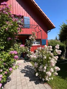 a red building with flowers in front of it at Ursulas BnB Hemberg View in Hemberg