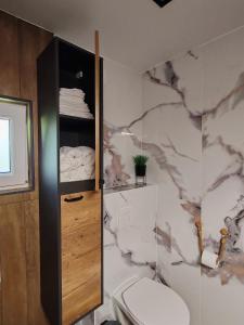 a bathroom with a toilet and a marble wall at Chalet Zasavka in Dol pri Hrastniku
