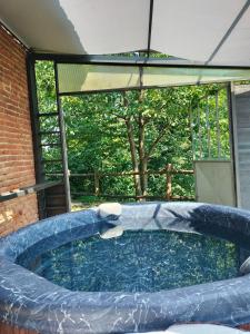 a swimming pool in a house with an inflatable at Casa Centomila Volte Benvenuti in Tigliole