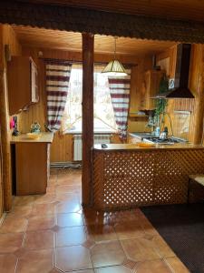 a kitchen with a counter and a sink in it at U Pana Ivana in Yaremche