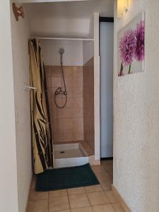 a bathroom with a shower with a shower curtain at Auberge du Bourguet in Brenon
