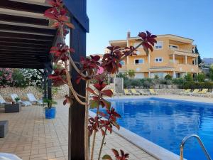 a resort with a swimming pool and a building at Lucie Lime GuestHouse in Luz +40 photos