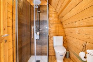 a bathroom with a toilet and a shower at Cabaña Massdepiedra in Sax