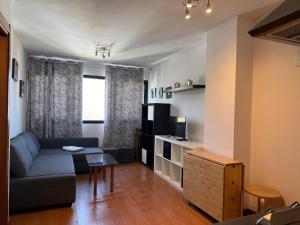 a living room with a couch and a television at APARTAMENTOS INFINITY in Sierra Nevada
