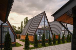 a house with a metal roof and some trees at Tengri Village Karakol in Karakol