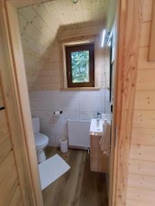 a small bathroom with a toilet and a sink at Domek Góralski Zębianski Dworek in Ząb +78 photos
