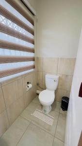 a bathroom with a white toilet and a window at Hendrinas Guesthouse in Hendrina +1 photo