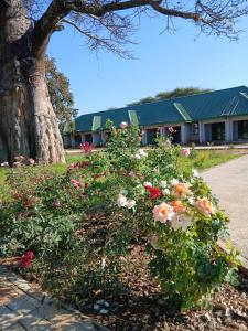 a tree and flowers in front of a building at GreenLand Hotel in Kasane