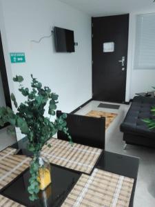 a living room with a table with a plant on it at Aptos hermosos en sector turistico in Montenegro