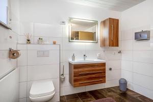 a bathroom with a toilet and a sink and a mirror at Carmen in Wald +14 photos