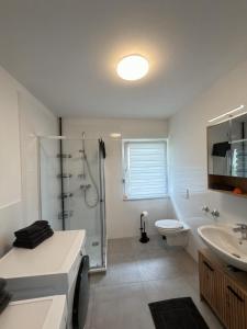 a bathroom with a shower and a toilet and a sink at FEWOHOME Lothe Schieder Schwalenberg Schiedersee in Schieder-Schwalenberg +98 photos