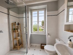 a bathroom with a shower and a toilet and a sink at La spacieuse maison des miots in Saint-Simeux