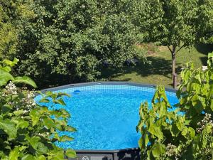 a blue swimming pool in a yard with trees at Les gîtes de la Brasserie d'Aubrives La Malterie et la Houblonnière in Aubrives