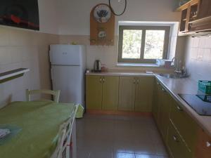 a kitchen with a white refrigerator and a window at Apartma Aria&Karra in Komen