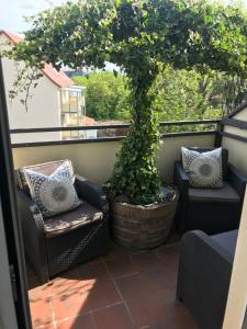 a balcony with two chairs and a bonsai tree at Stadtdschungel FeWo mit Balkon in Cottbus