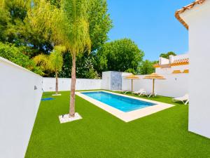 a backyard with a swimming pool and a palm tree at Playa Fuente del Gallo I in Conil de la Frontera
