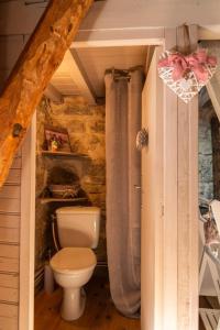 a bathroom with a toilet and a shower curtain at L'echappée de la lozère in Les Laubies +23 photos