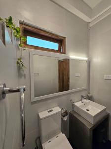 a bathroom with a toilet and a sink and a mirror at Villa Nutmeg Grove Galle in Galle +40 photos