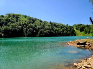 a large blue lake with trees in the background at Mountain View in Goderdzi