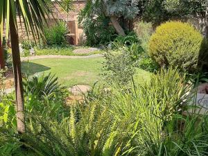 a garden with plants and trees and a house at Villa Verde in Fichardtpark