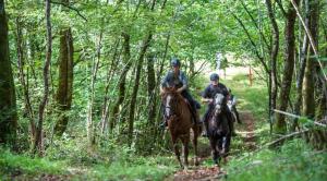 two people riding horses on a trail in the woods at Little Wood Lodges in Bailly-aux-Forges