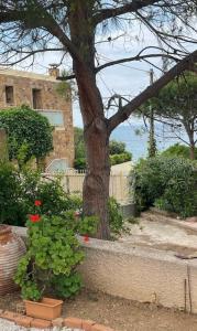a tree in front of a house with flowers at Mylo Casa Karfas in Chios