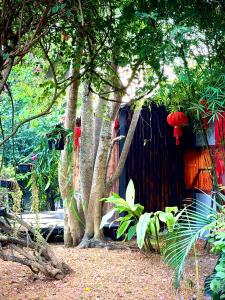 a group of trees with red lanterns in front of a house at Alcove Bungalow in Hinkong +63 photos