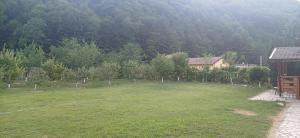 a large field with a house in the background at Casuta lui Andrei in Brezoi +1 photo